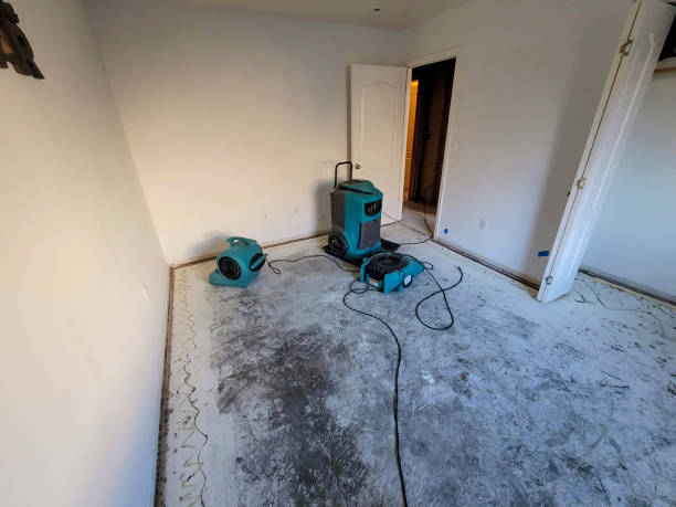Best Flood damage cleanup  in Lyons, IL