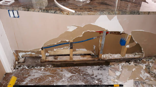  Lyons, IL Water damage restoration Pros