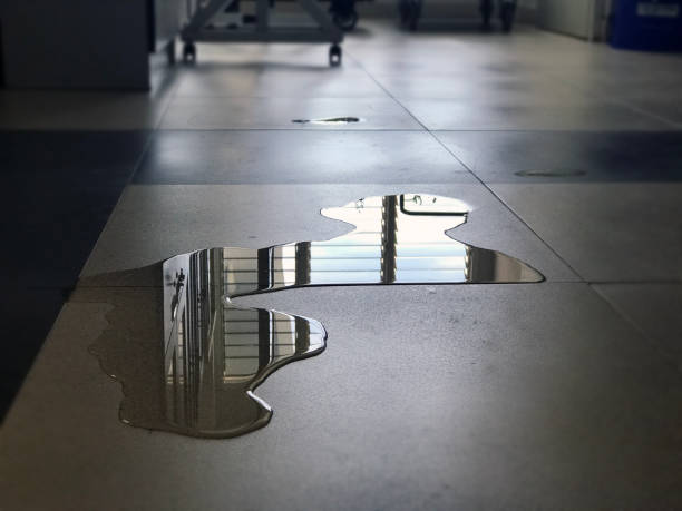 Best Water damage restoration process  in Lyons, IL