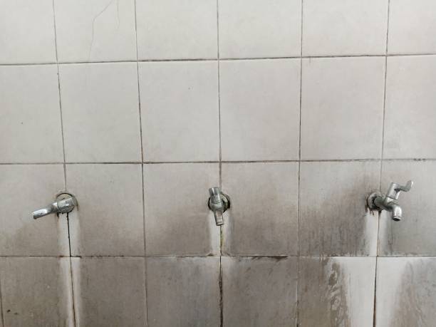 Best Emergency water damage restoration  in Lyons, IL