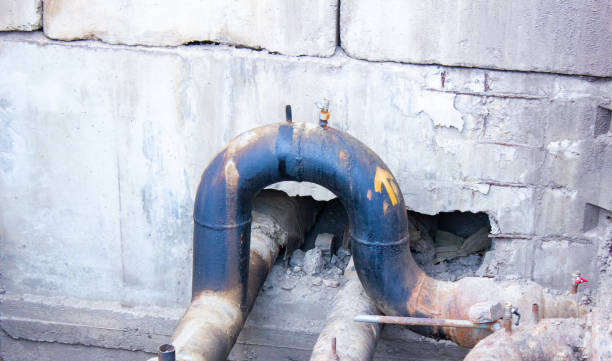 Best Flood damage cleanup  in Lyons, IL