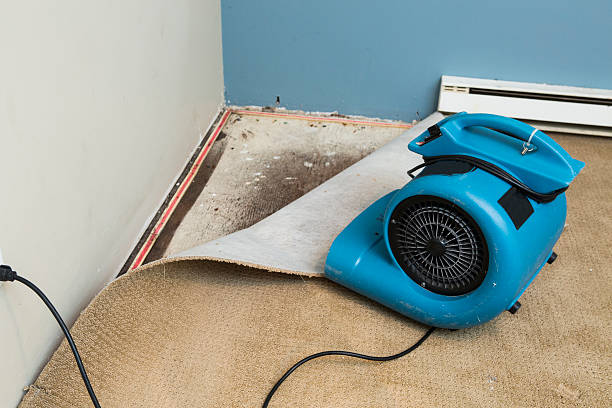 Best Water damage restoration near me  in Lyons, IL